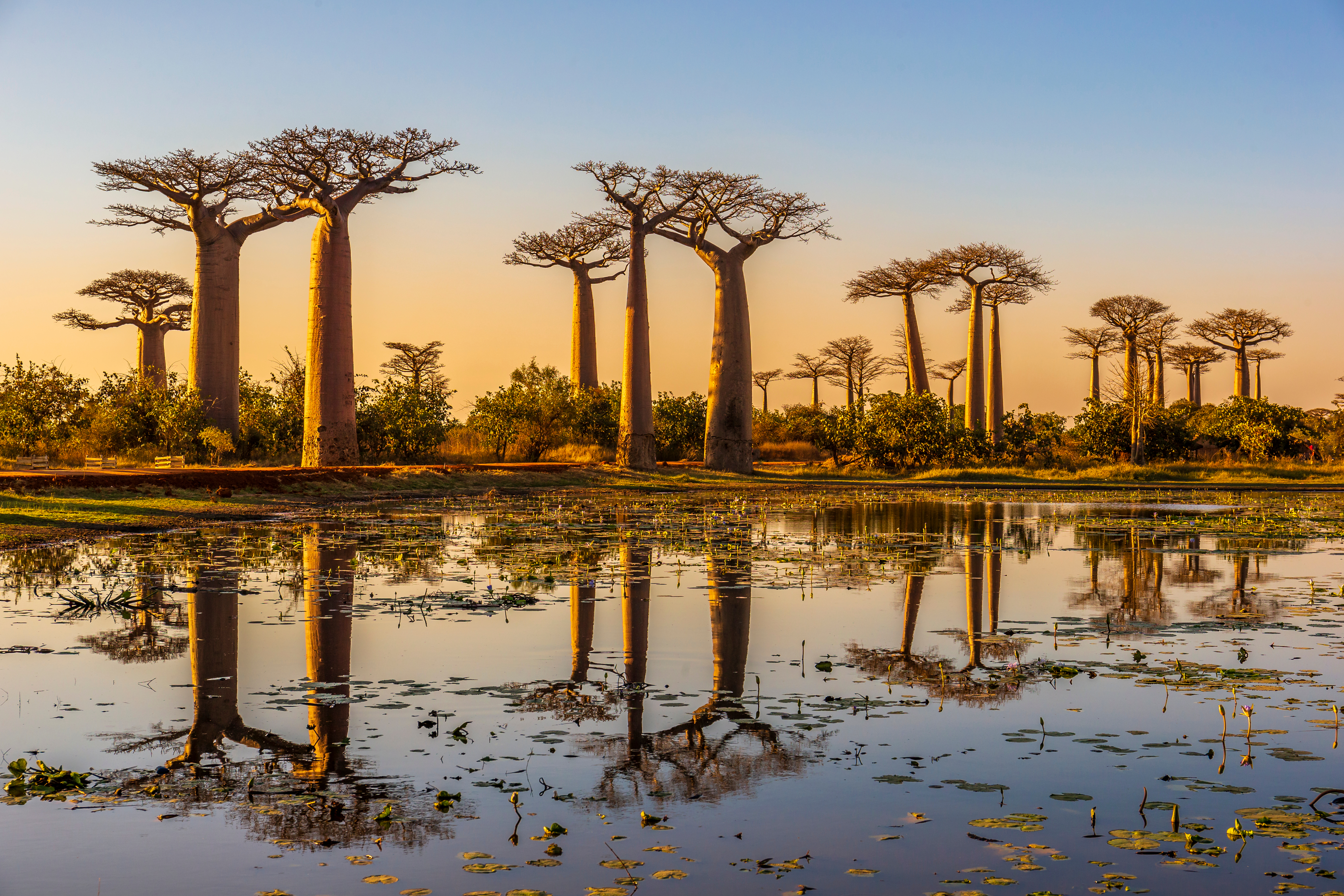 Tour dell'Est del Madagascar 12gg/11nts