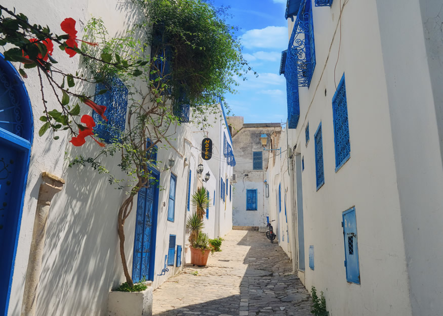 GRAN TOUR DELLA TUNISIA "Young"