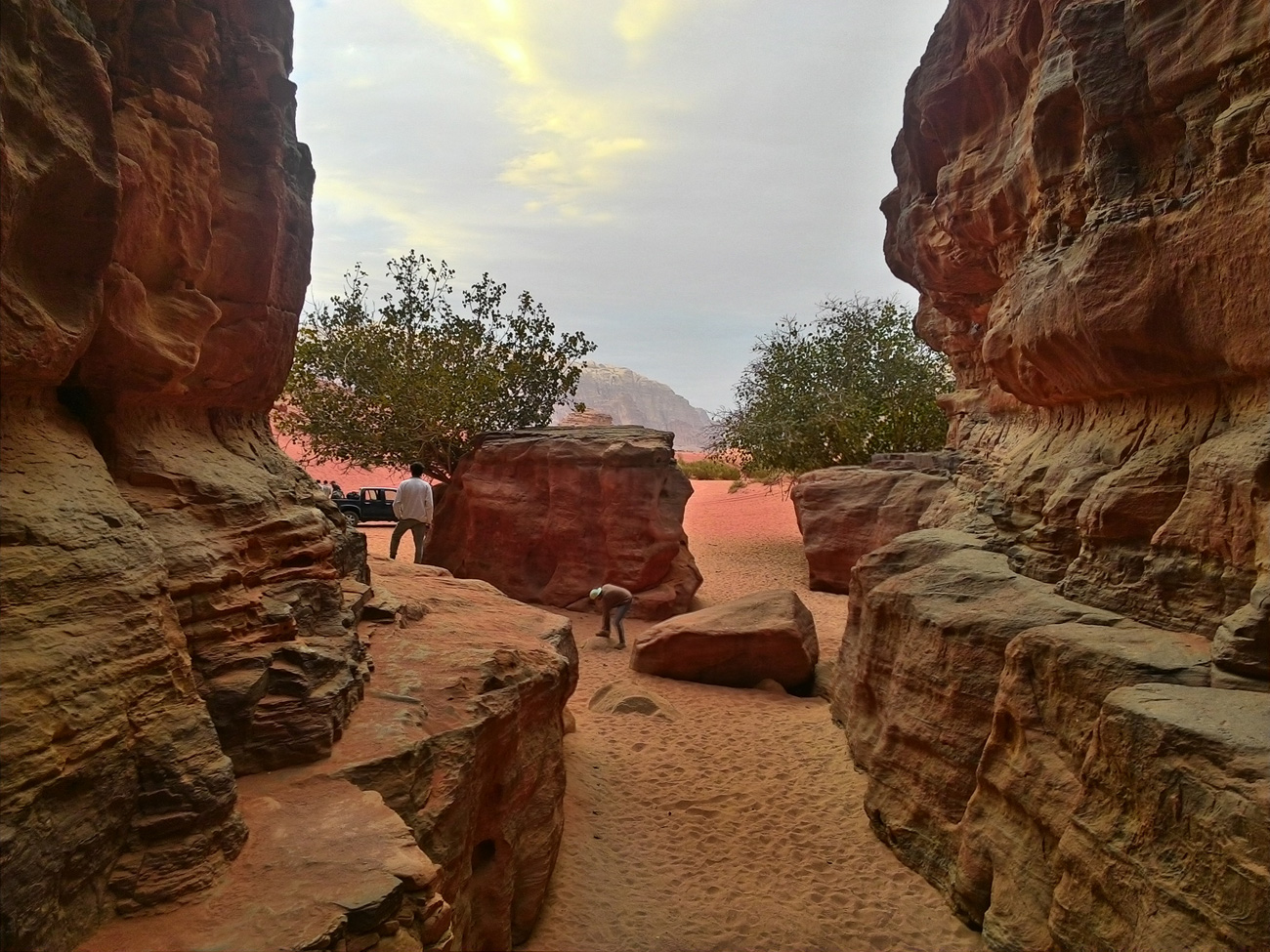 GIORDANIA, PETRA TOUR (CON MAR MORTO E DESERTO) 8gg