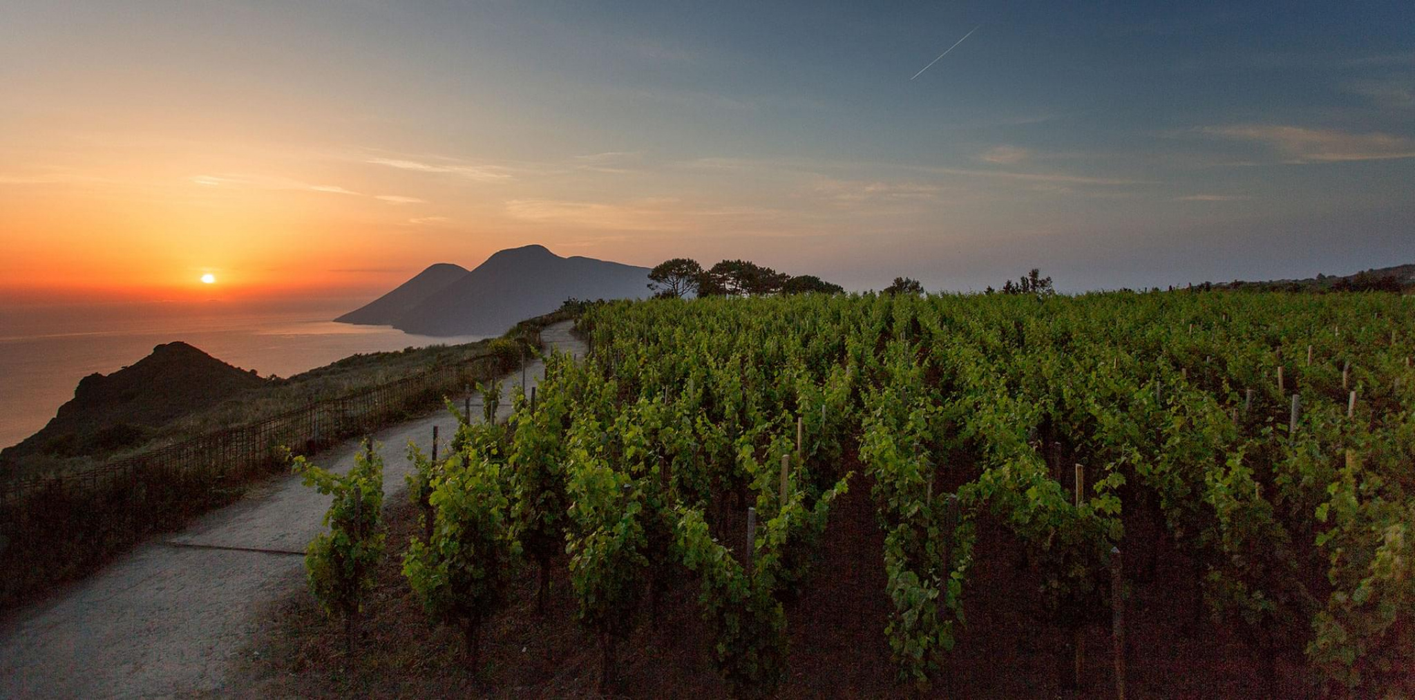 SICILIA - EOLIE - LIPARI - Ecoluxury Retreats of The World - Tenuta di Castellaro Wine Resort