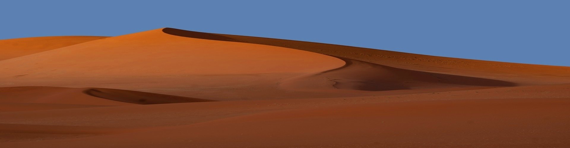 BANC D’ARGUIN E BIBLIOTECHE DEL SAHARA 11gg