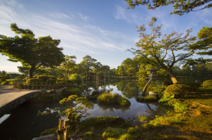 11° giorno, Osaka - Italia