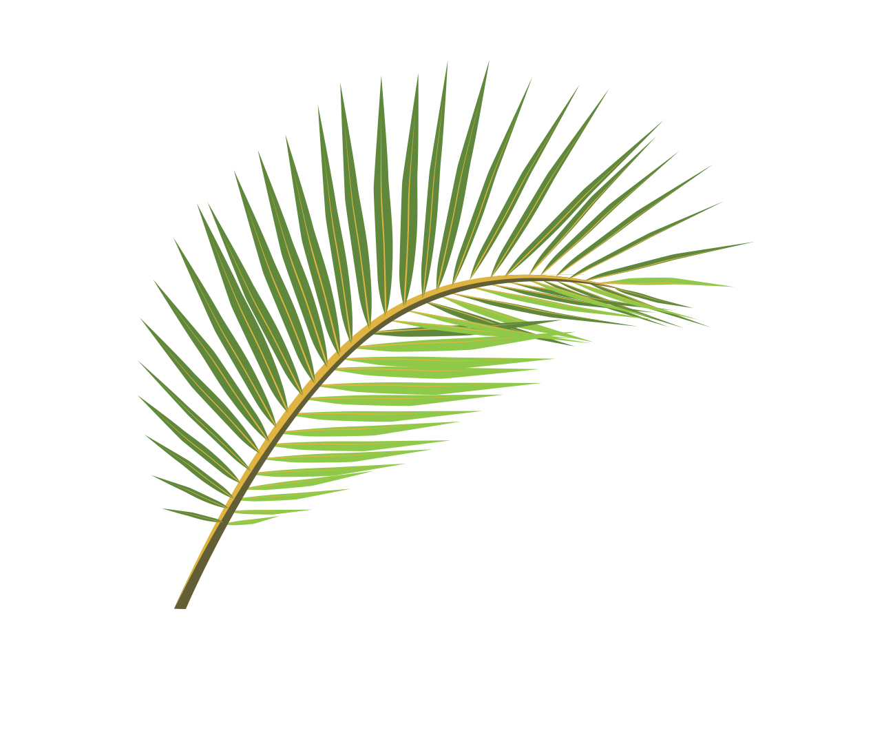 Day 8 Ranomafana