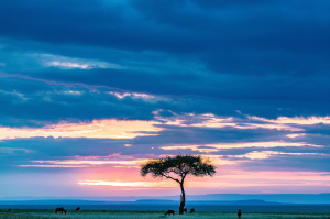 2° giorno,	Nairobi
