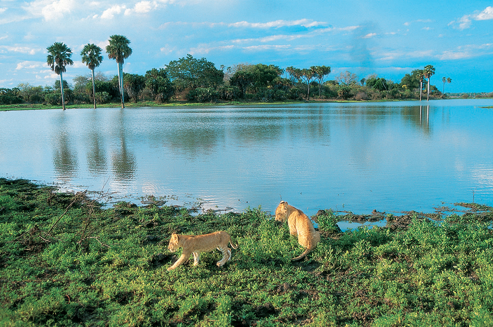 8° E 9° GIORNO SOUTH LUANGWA NATIONAL PARK