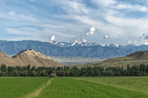 9° giorno, Bukhara – Shakrisabz – Samarcanda