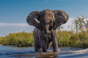 3° giorno,	Victoria Falls