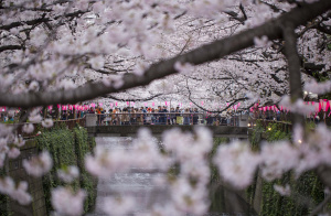 Tokyo - Kanazawa
