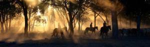 Lander e Cheyenne