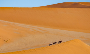 7° giorno,	Swakopmund - Walvis Bay e Sandwich Harbour