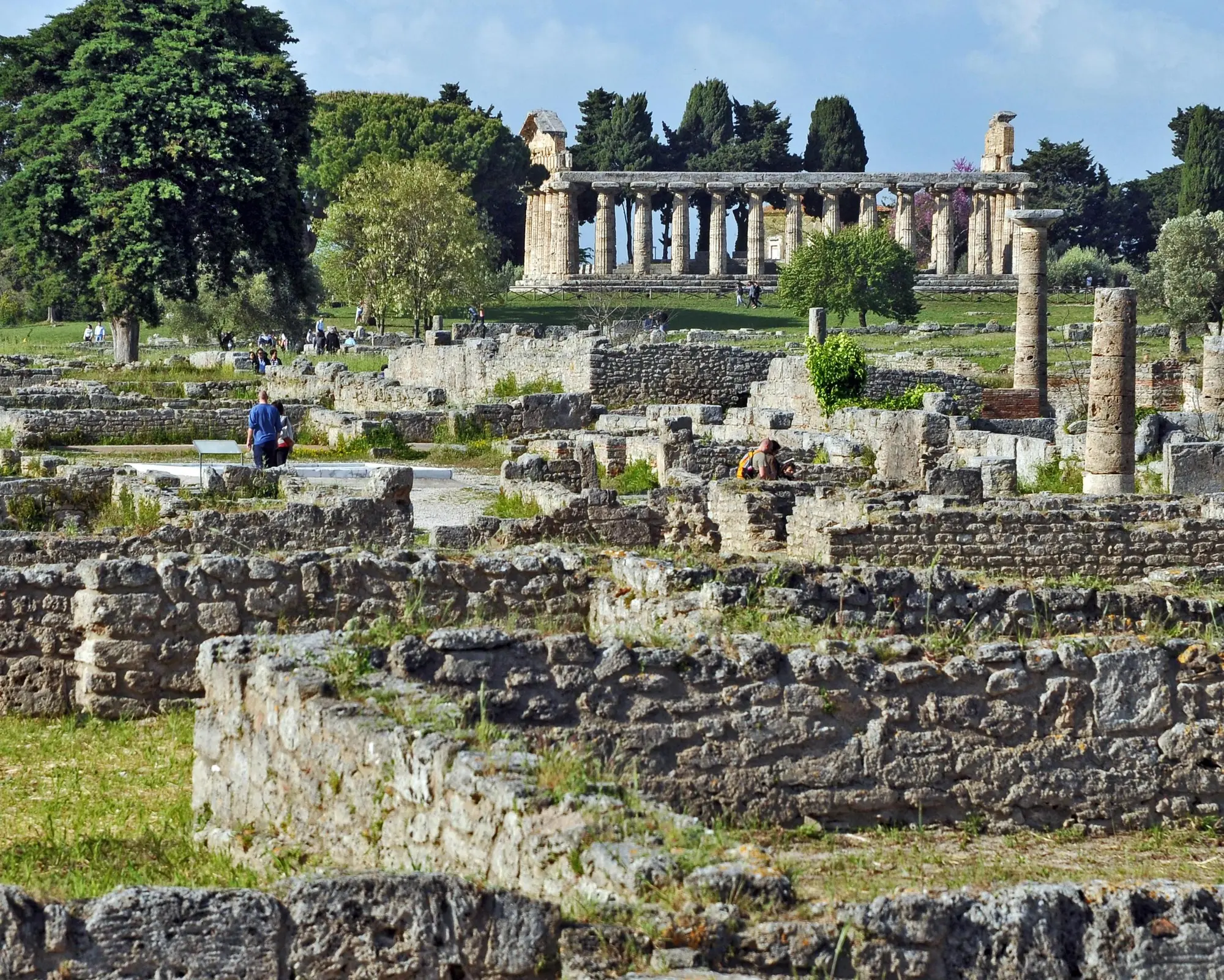 IL CILENTO e la Reggia di Caserta